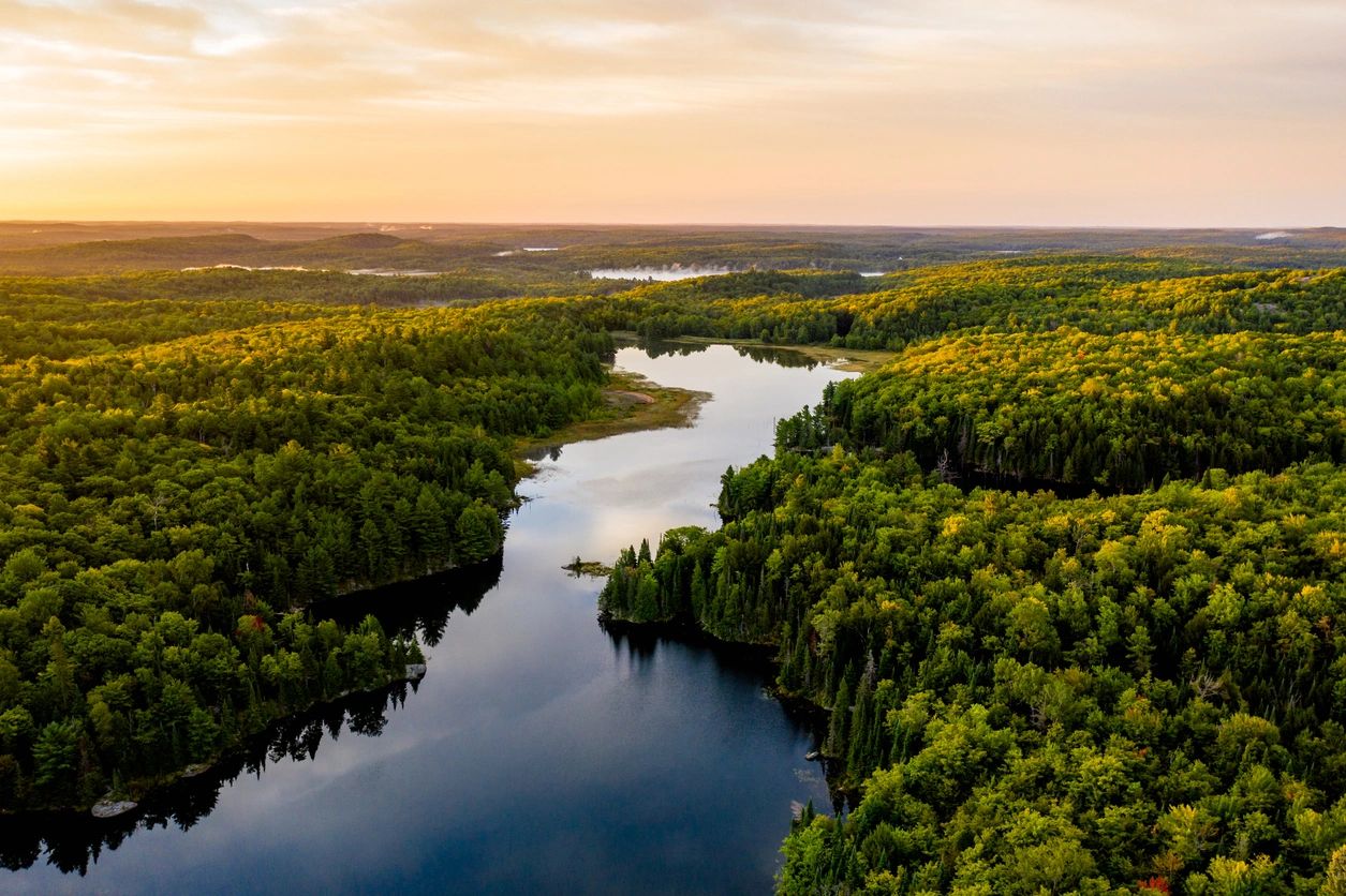 A winding river flows through dense green forest at sunset.